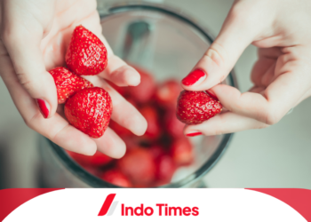 10 Rekomendasi Blender Portable Terbaik yang Wajib Dimiliki
