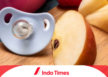 10 Rekomendasi Empeng Buah Terbaik dan Berkualitas