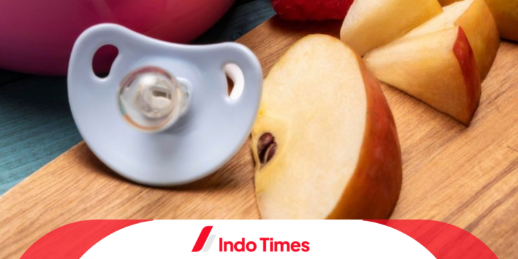 10 Rekomendasi Empeng Buah Terbaik dan Berkualitas