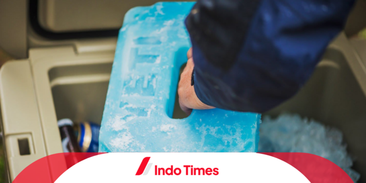 10 Rekomendasi Ice Pack Terbaik Paling Dicari, Bikin Makanan Awet Tanpa Bahan Pengawet 1 10 Rekomendasi Ice Pack Terbaik Paling Dicari, Bikin Makanan Awet Tanpa Bahan Pengawet