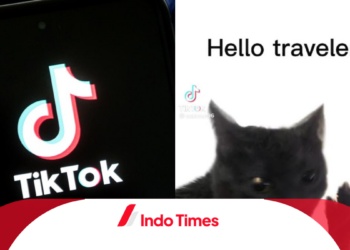 Apa Arti Istilah Dabloon di TikTok, Challenge yang Sedang Viral Saat Ini!