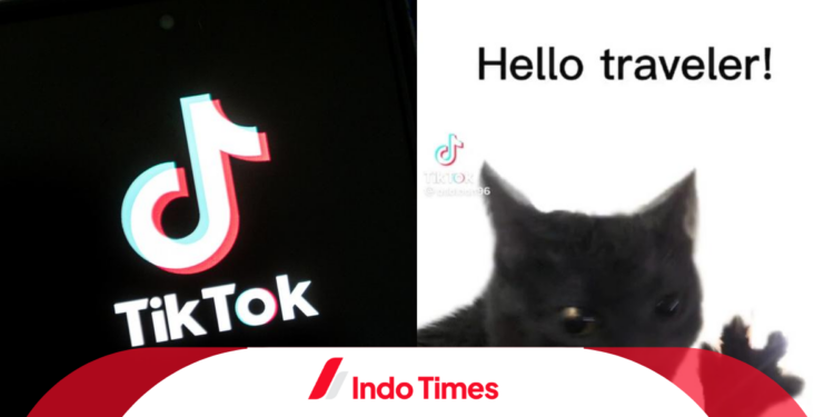Apa Arti Istilah Dabloon di TikTok, Challenge yang Sedang Viral Saat Ini!
