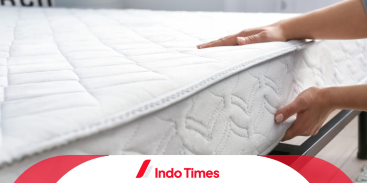 10 Rekomendasi Merk Kasur Orthopedic Terbaik Untuk Mengatasi Nyeri Punggung 1 10 Rekomendasi Merk Kasur Orthopedic Terbaik Untuk Mengatasi Nyeri Punggung