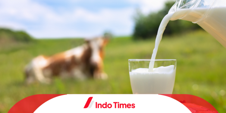 10 Rekomendasi Merk Susu Peninggi Badan Anak yang Ampuh