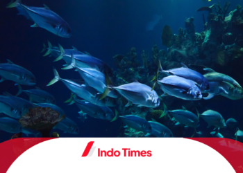 5 Cara Bikin Essen dan Bahannya untuk Ikan Sehat