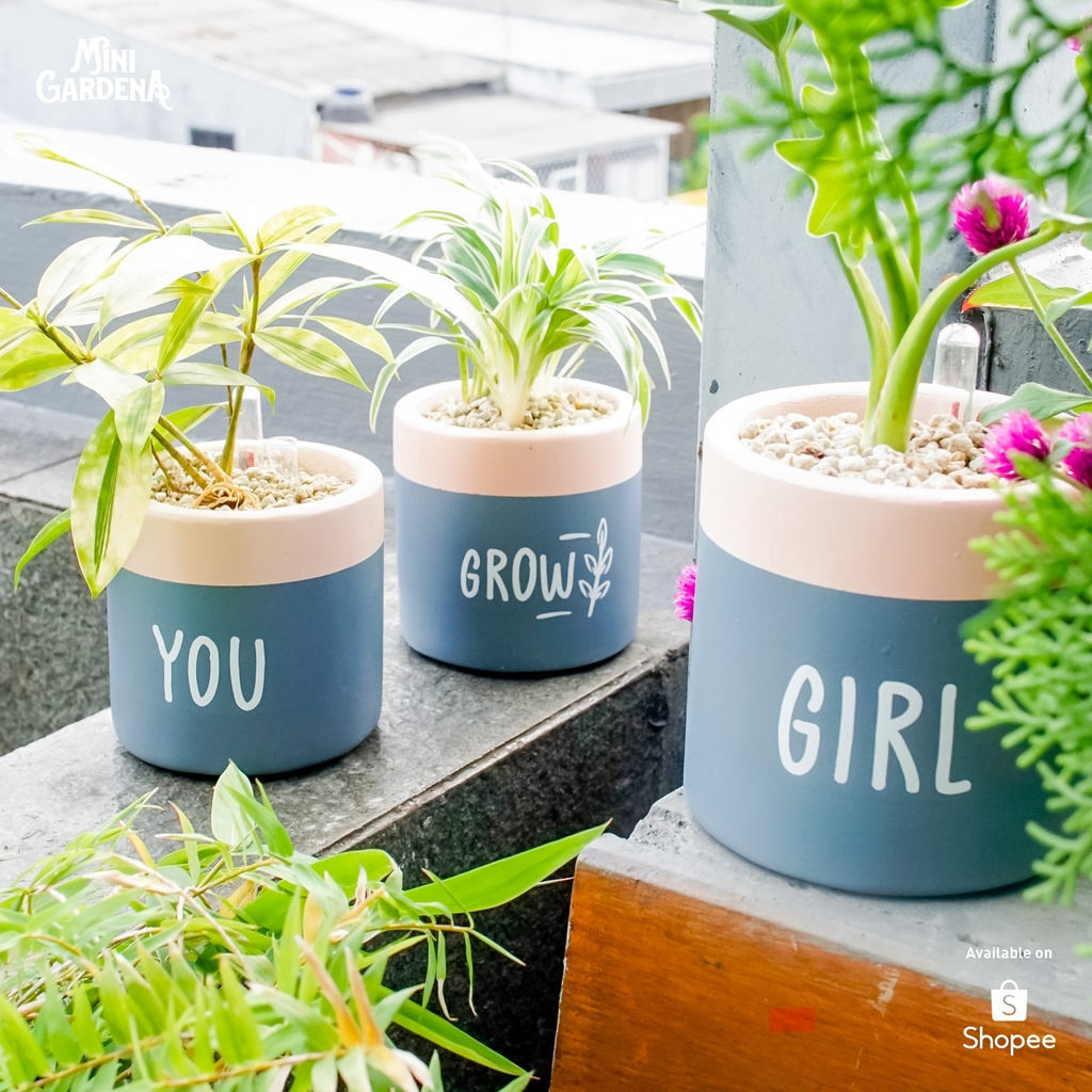 Minigardena Deco Gift Set Mini Garden || Produk Estetik untuk Ruangan yang Nyaman