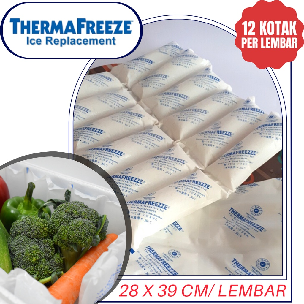Thermafreeze Ice Pack || Ice pack terbaik