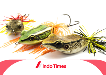 7 Resep Umpan Ikan Nila Liar Anti Gagal yang Mudah Dibuat