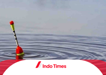 Bingung Resep Umpan Ikan Mas yang Paling Oke? Cek Dulu di sini 13 Racikan Umpan yang Top Markotop!