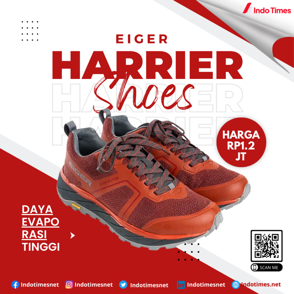 Eiger Harrier Shoes || Sepatu Eiger Sport Terbaik