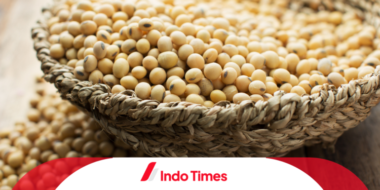 Konsumsi Kedelai untuk Menurunkan Diabetes, Simak Aturannya Menurut Dokter 1 Konsumsi Kedelai untuk Menurunkan Diabetes, Simak Aturannya Menurut Dokter