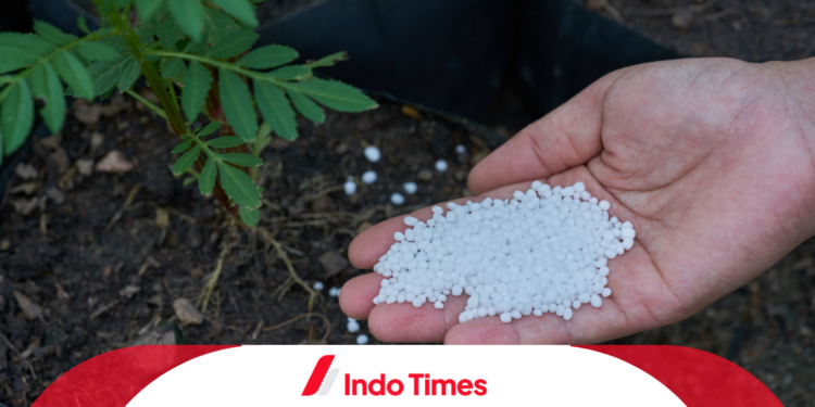 10 Rekomendasi Pupuk Urea Terbaik Agar Tanaman Kian Subur 1 10 Rekomendasi Pupuk Urea Terbaik Agar Tanaman Kian Subur