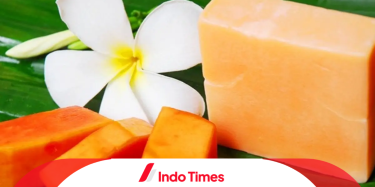 10 Rekomendasi Merk Sabun Pepaya Terbaik Untuk Wajah 1 10 Rekomendasi Merk Sabun Pepaya Terbaik Untuk Wajah