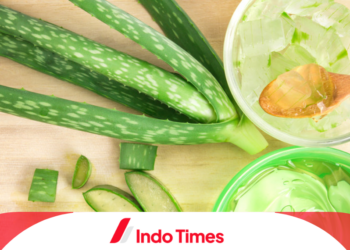 10 Rekomendasi Soothing Gel Terbaik yang Recomended Untuk Merawat Skin Barrier dan Kulit Kering