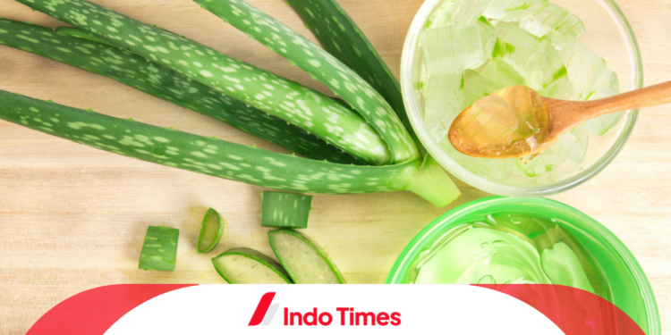 10 Rekomendasi Soothing Gel Terbaik yang Recomended Untuk Merawat Skin Barrier dan Kulit Kering