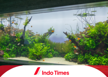 10 Rekomendasi Tanaman Aquascape Terbaik, Mudah Didapat, dan Indah