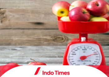 10 Rekomendasi Timbangan Duduk yang Cocok Untuk Berjualan dengan Kualitas Andalan