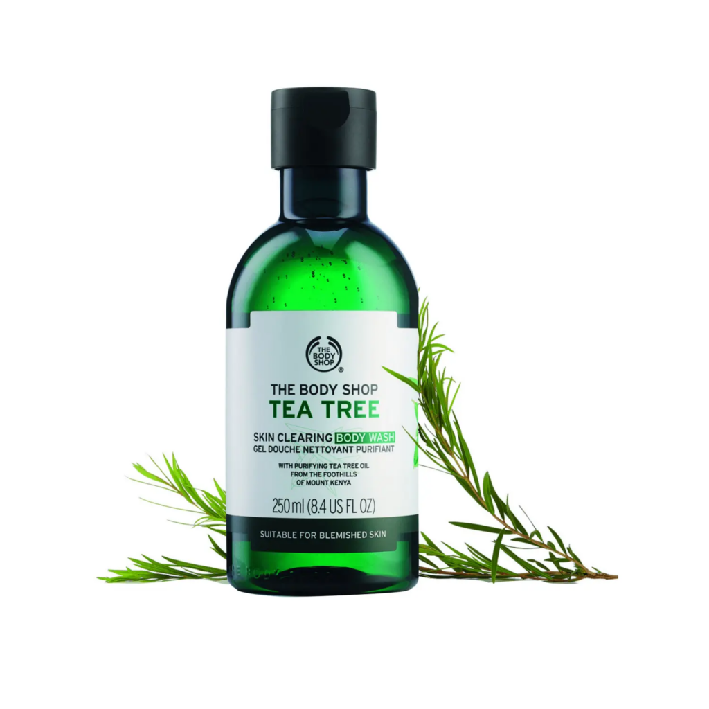 The Body Shop: Tea Tree Skin Clearing Body Wash || Produk untuk Menghilangkan Jerawat Punggung