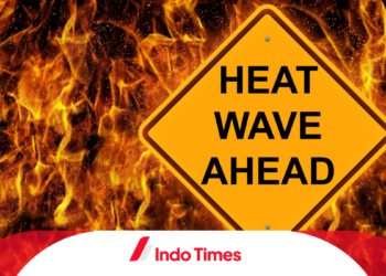 Menghadapi Gelombang Panas Ekstrem Amerika Serikat: Kantong Mayat Berisi Es sebagai Solusi Medis Inovatif