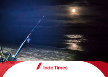 Keseruan dan Tantangan Mancing Malam Hari di Sungai. Ketahui Teknik dan Peralatan yang Dibutuhkan
