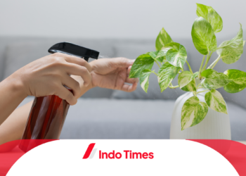 Pupuk Daun Cair: Keunggulan, Cara Pemakaian, dan Rekomendasi Produk