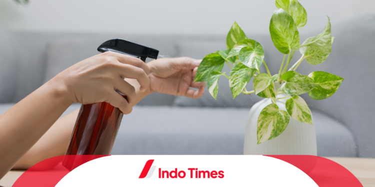 Pupuk Daun Cair: Keunggulan, Cara Pemakaian, dan Rekomendasi Produk 1 Pupuk Daun Cair: Keunggulan, Cara Pemakaian, dan Rekomendasi Produk