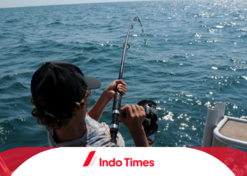 Reel Golden Fish: Reel Mancing Berkualitas Tinggi dengan Performa Terbaik