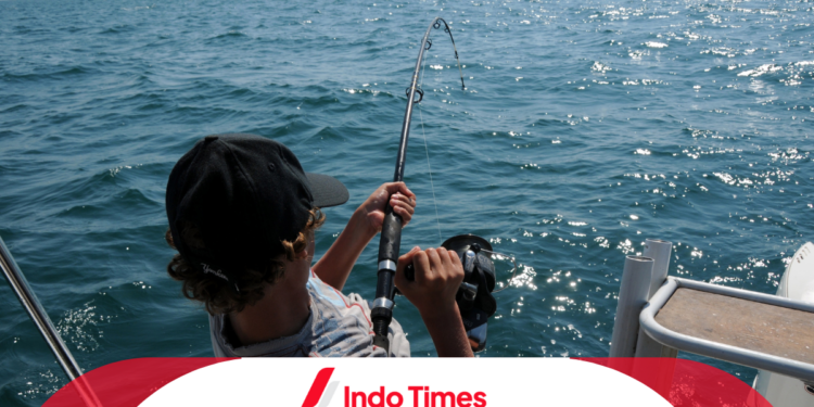 Reel Golden Fish: Reel Mancing Berkualitas Tinggi dengan Performa Terbaik