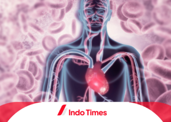 Menyingkap Misteri Sumber Energi dalam Tubuh Manusia