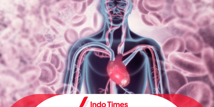 Menyingkap Misteri Sumber Energi dalam Tubuh Manusia 1 Menyingkap Misteri Sumber Energi dalam Tubuh Manusia