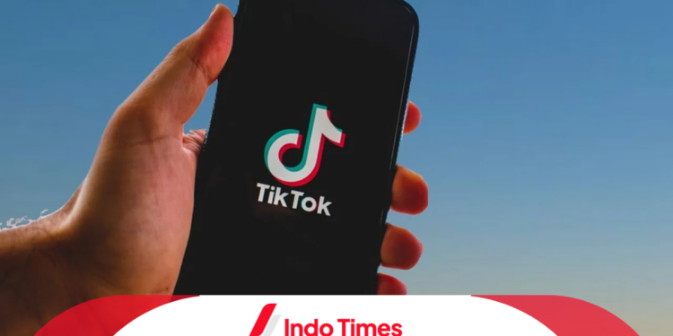 TTdownloader: Cara Asyik Download Lagu dari TikTok Tanpa Ribet 1 TTdownloader