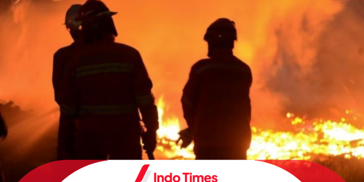 25 Wisatawan Terjebak Kebakaran di Nusa Penida, Bali. 1 Orang Mengalami Luka Ringan 1 25 Wisatawan Terjebak Kebakaran di Nusa Penida, Bali. 1 Orang Mengalami Luka Ringan