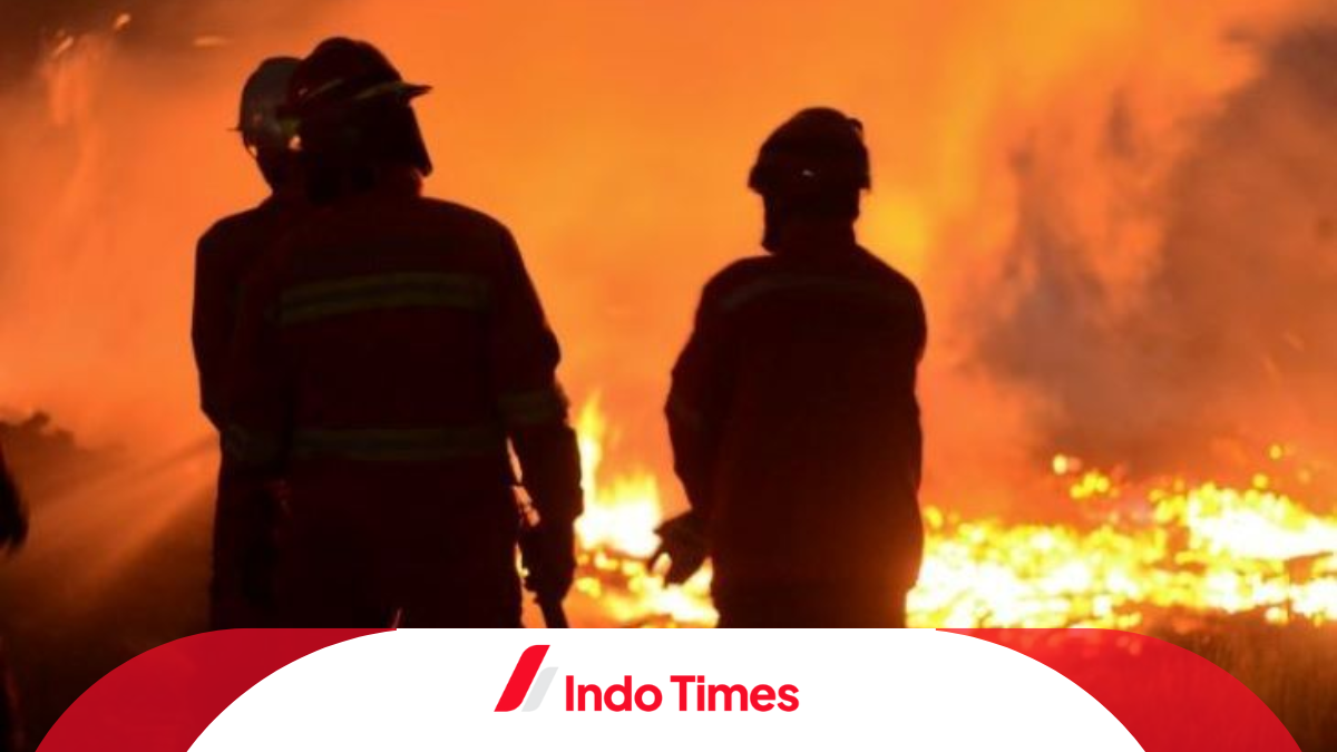25 wisatawan terjebak kebakaran di Nusa Penida, Bali.  1 orang mengalami luka ringan