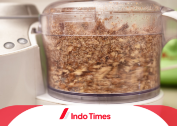 10 Rekomendasi Food Processor Terbaik untuk Memudahkan Menghaluskan Bahan Makanan