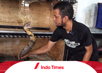 Penyakit Diabetes Panji Petualang