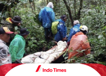 Aksi Heroik Tim SAR Kerinci Menyelamatkan Pendaki yang Mengalami Cedera Kaki di Gunung Kerinci