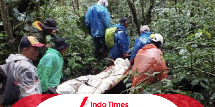 Aksi Heroik Tim SAR Kerinci Menyelamatkan Pendaki yang Mengalami Cedera Kaki di Gunung Kerinci 1 Aksi Heroik Tim SAR Kerinci Menyelamatkan Pendaki yang Mengalami Cedera Kaki di Gunung Kerinci