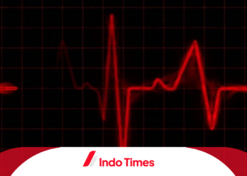 Gelombang Transversal: Pengertian, Contoh, Karakteristik, dan Rumus
