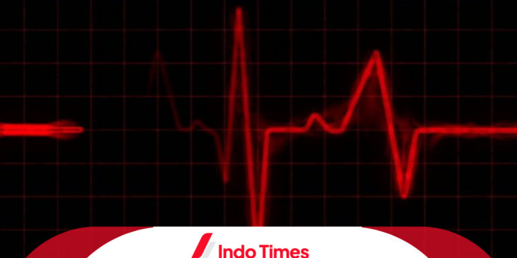 Gelombang Transversal: Pengertian, Contoh, Karakteristik, dan Rumus 1 Gelombang Transversal: Pengertian, Contoh, Karakteristik, dan Rumus