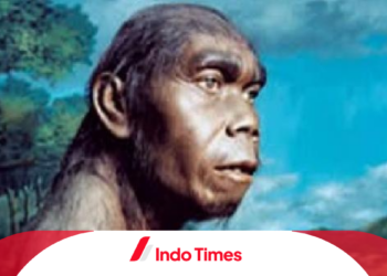 Pengertian Manusia Purba dan Sejarah Perkembangannya di Indonesia