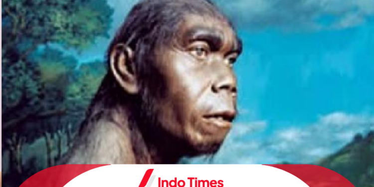 Pengertian Manusia Purba dan Sejarah Perkembangannya di Indonesia 1 Pengertian Manusia Purba dan Sejarah Perkembangannya di Indonesia