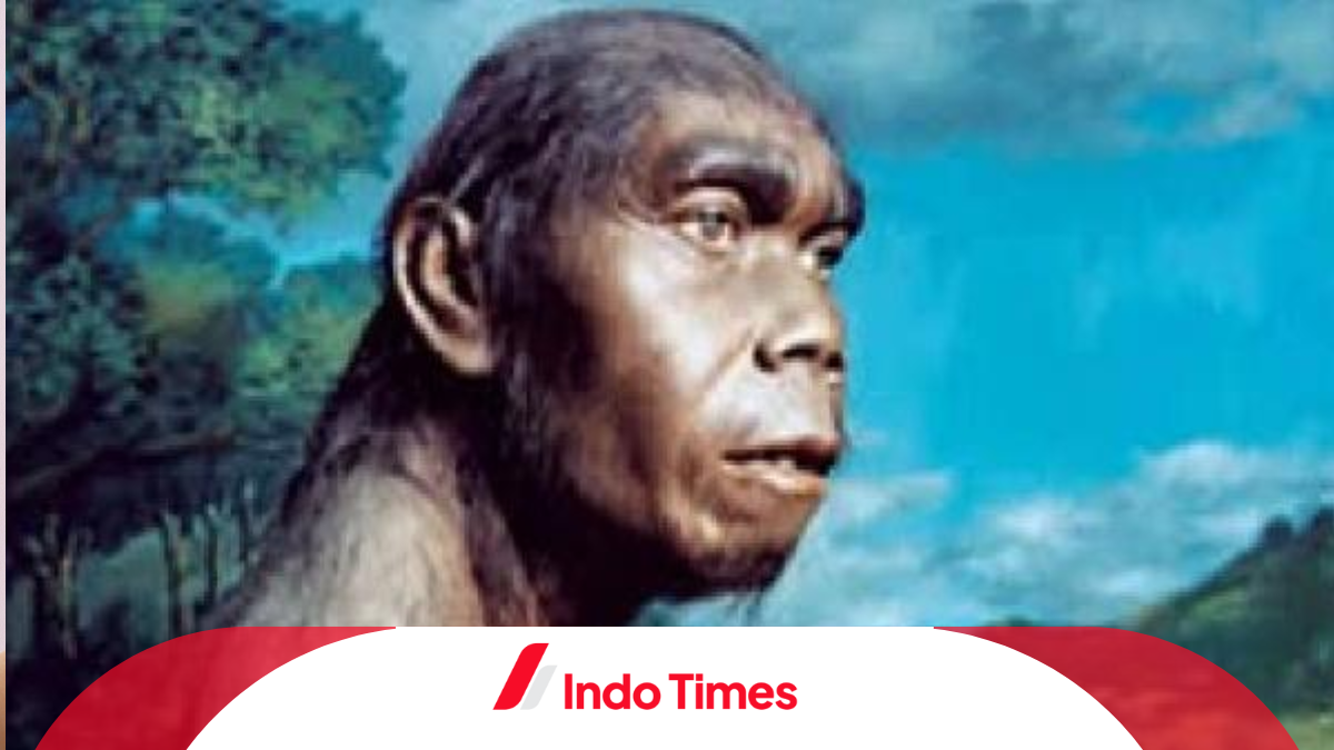 Memahami masyarakat zaman dahulu dan sejarah perkembangannya di Indonesia