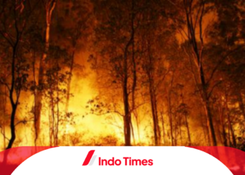 Gunung Sumbing Kebakaran