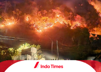 Kebakaran Gunung Jayanti di Sukabumi Berhasil Dipadamkan Sebelum Meluas ke Pemukiman