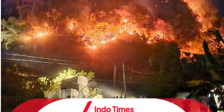 Kebakaran Gunung Jayanti di Sukabumi Berhasil Dipadamkan Sebelum Meluas ke Pemukiman