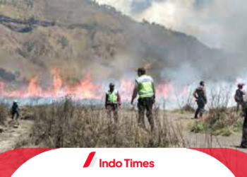 Kebakaran di Bukit Teletubbies Menyebabkan Kerusakan yang Signifikan. Pelaku Sudah Ditangkap