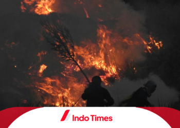 Manajer WO Ditetapkan sebagai Tersangka Kebakaran di Gunung Bromo, 5 Orang Masih Saksi