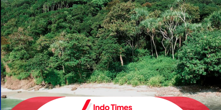 TWA Cagar Alam Pangandaran