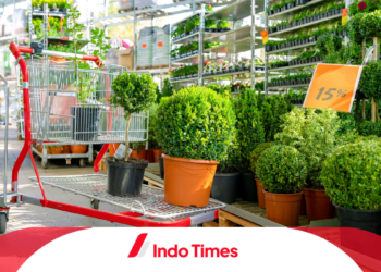 8 Tanaman Hias Outdoor untuk Taman Kecil