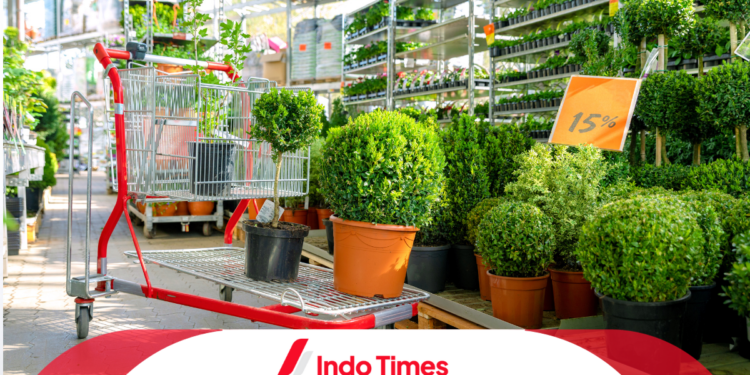 8 Tanaman Hias Outdoor untuk Taman Kecil 1 8 Tanaman Hias Outdoor untuk Taman Kecil